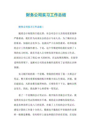 实习总结_财务公司实习工作总结.doc