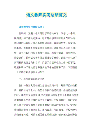 实习总结_语文教师实习总结范文.doc