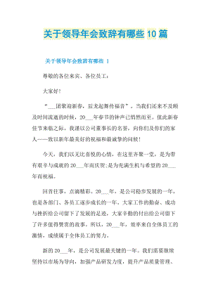 致辞稿_关于领导年会致辞有哪些10篇.doc