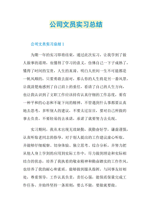 实习总结_公司文员实习总结.doc