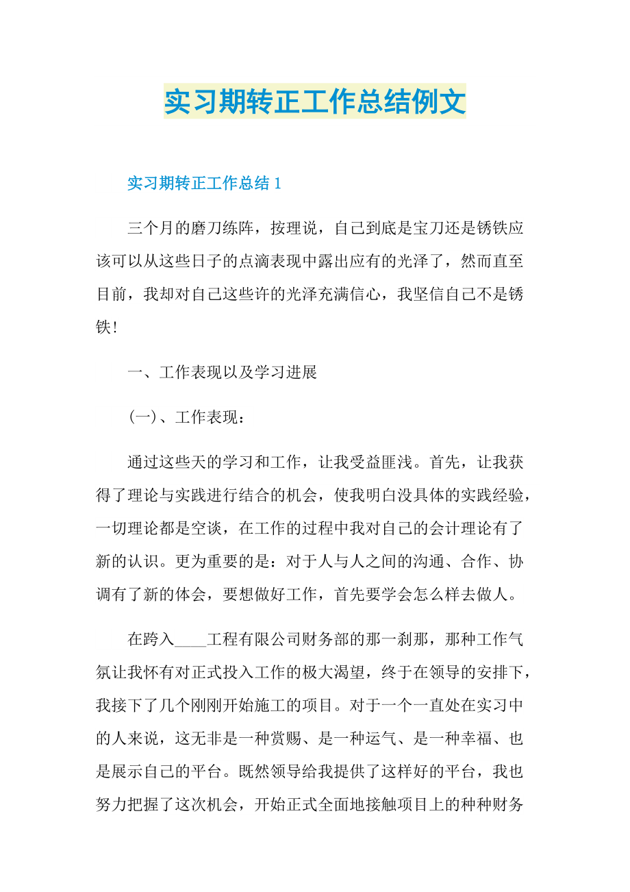 个人实习总结_实习期转正工作总结例文.doc_第1页