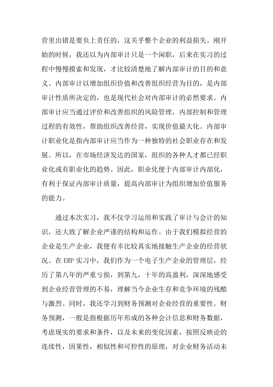 审计个人实习报告.doc_第3页