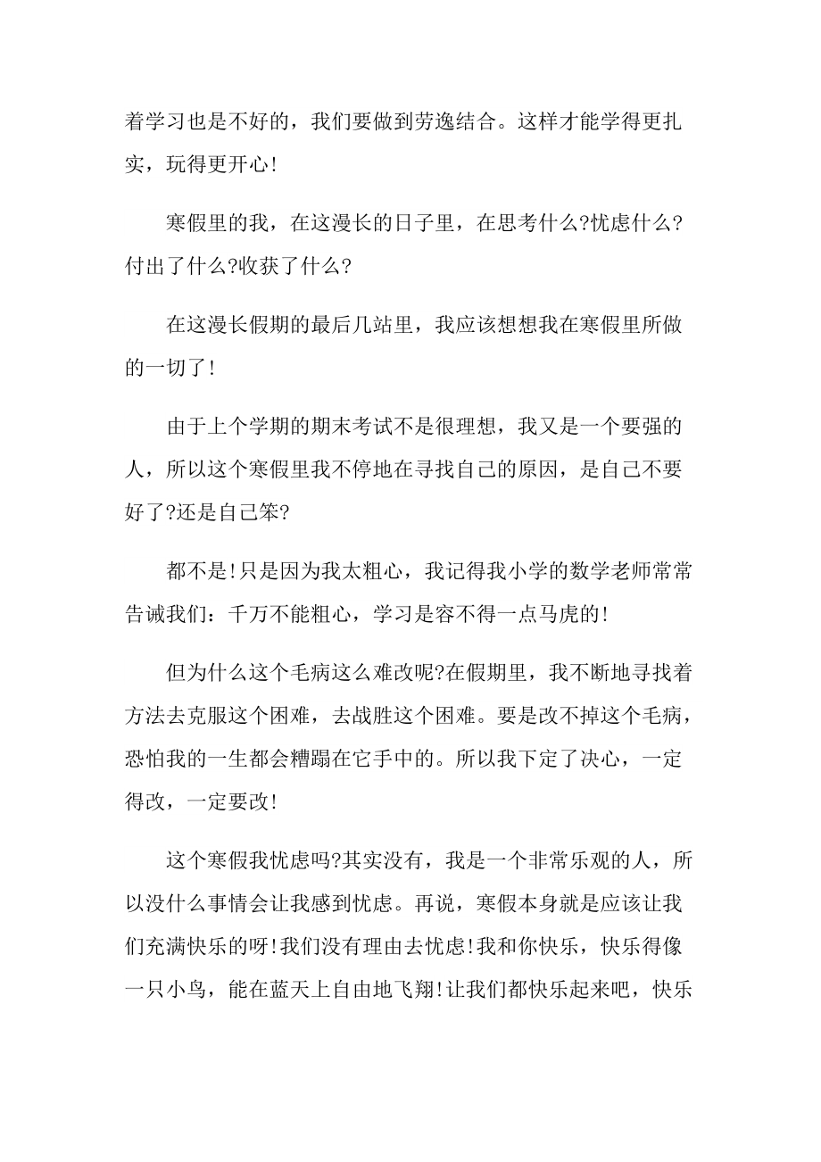 2022快乐的寒假优秀作文600字.doc_第3页