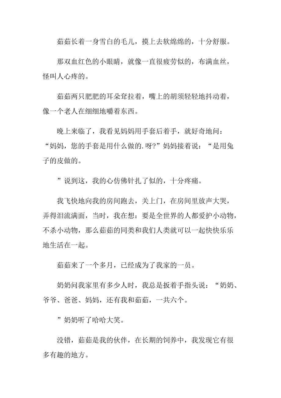 可爱的小白兔三年级作文范文.doc_第3页