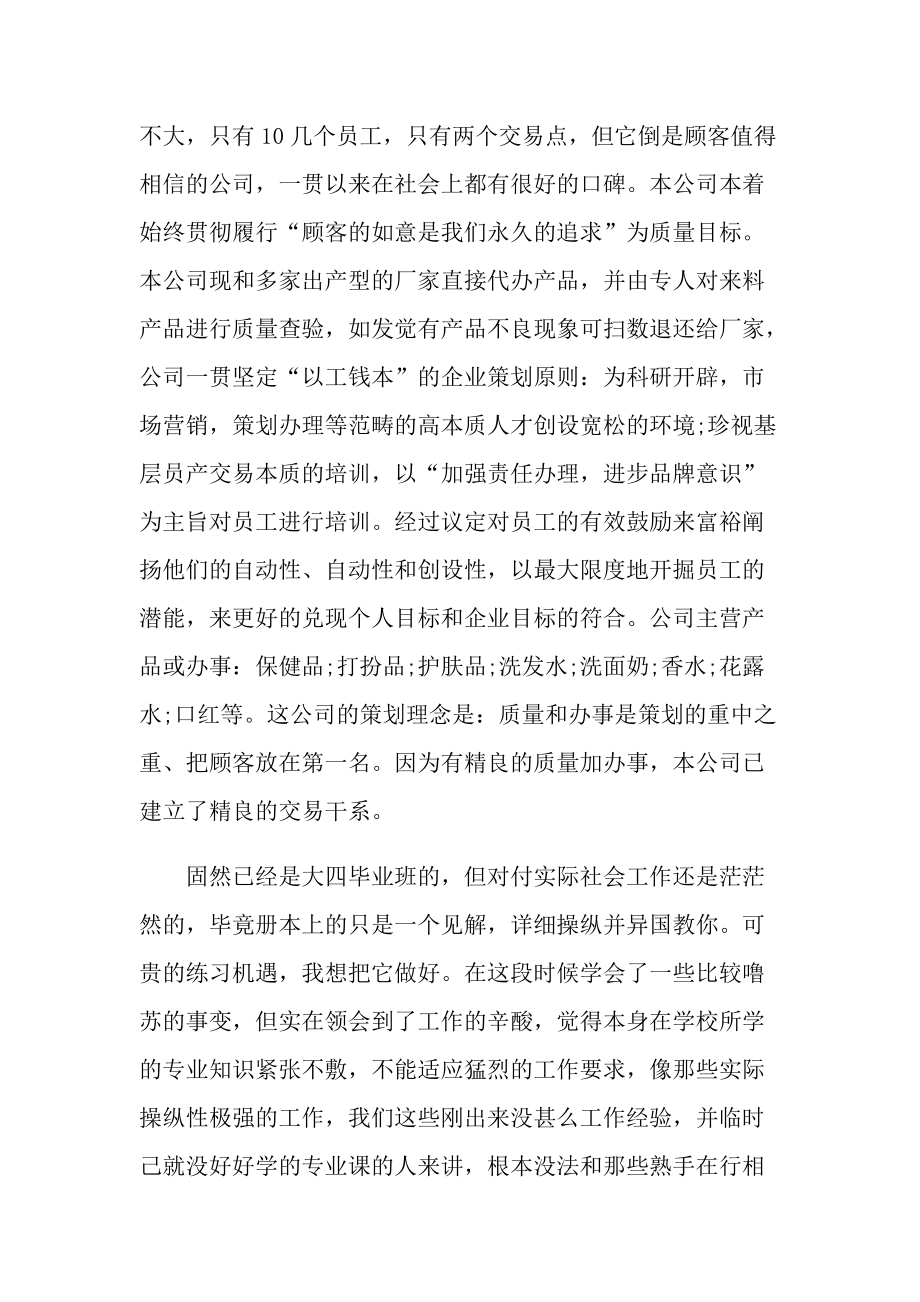 销售员实习报告总结.doc_第3页