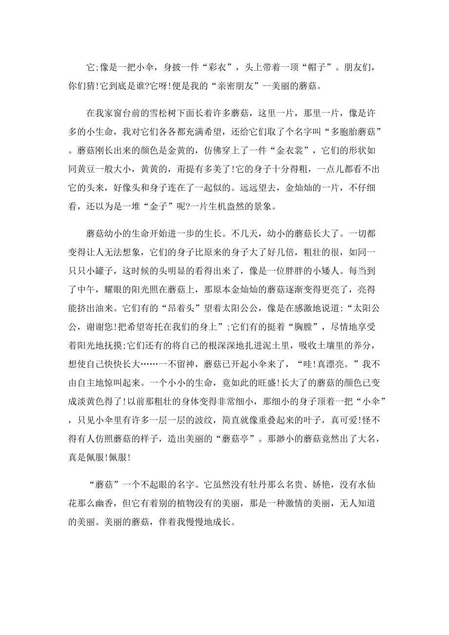 关于观察的日记600字.doc_第2页