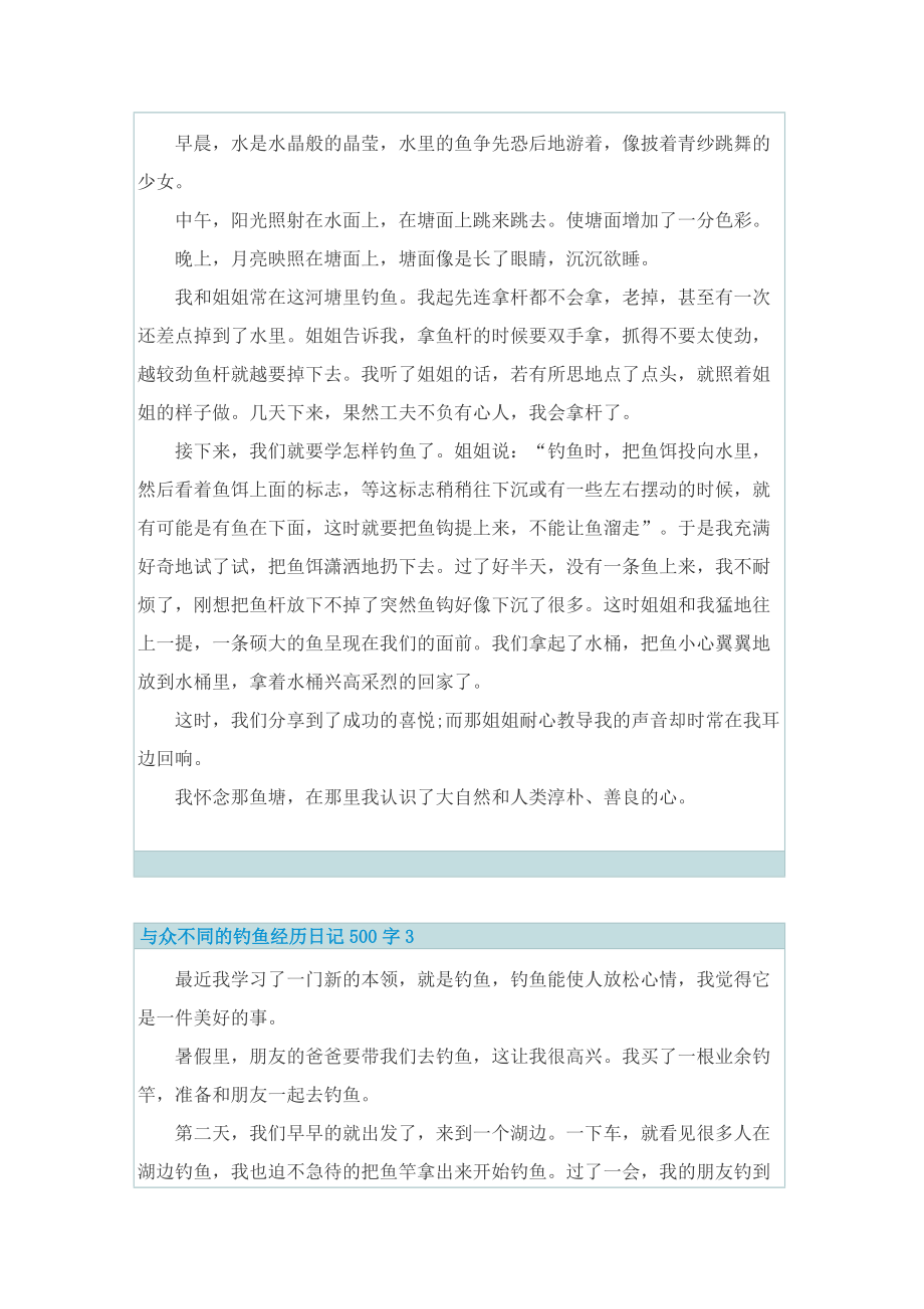 与众不同的钓鱼经历日记500字.doc_第2页