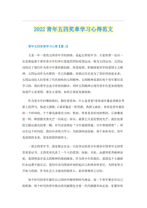 2022青年五四奖章学习心得范文.doc