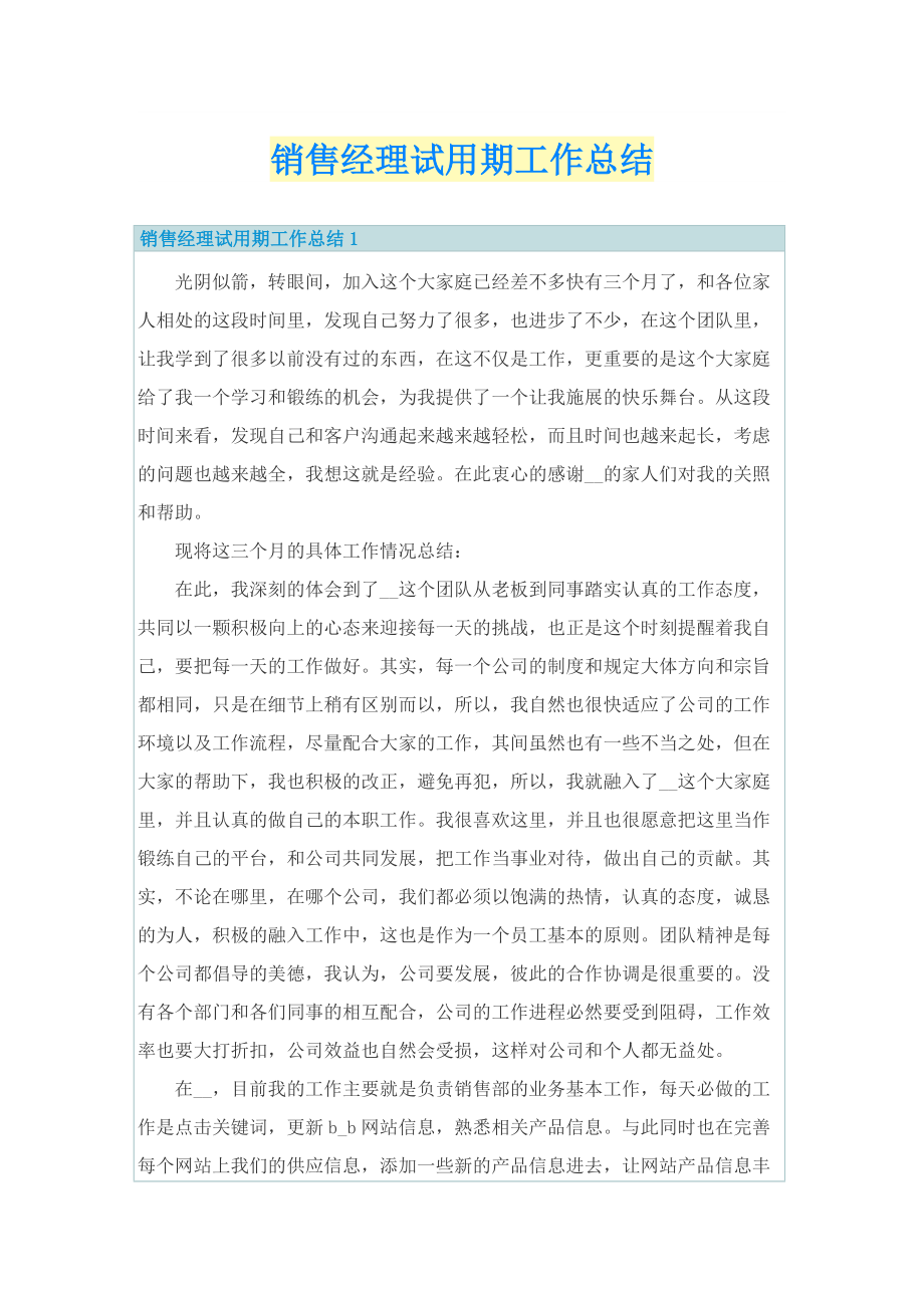 销售经理试用期工作总结.doc_第1页