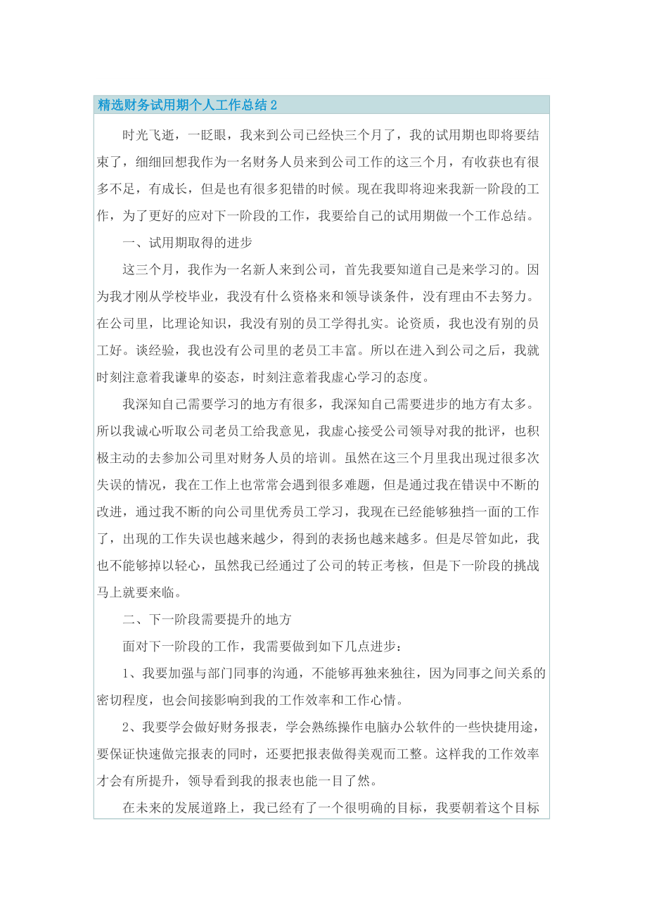 精选财务试用期个人工作总结.doc_第2页