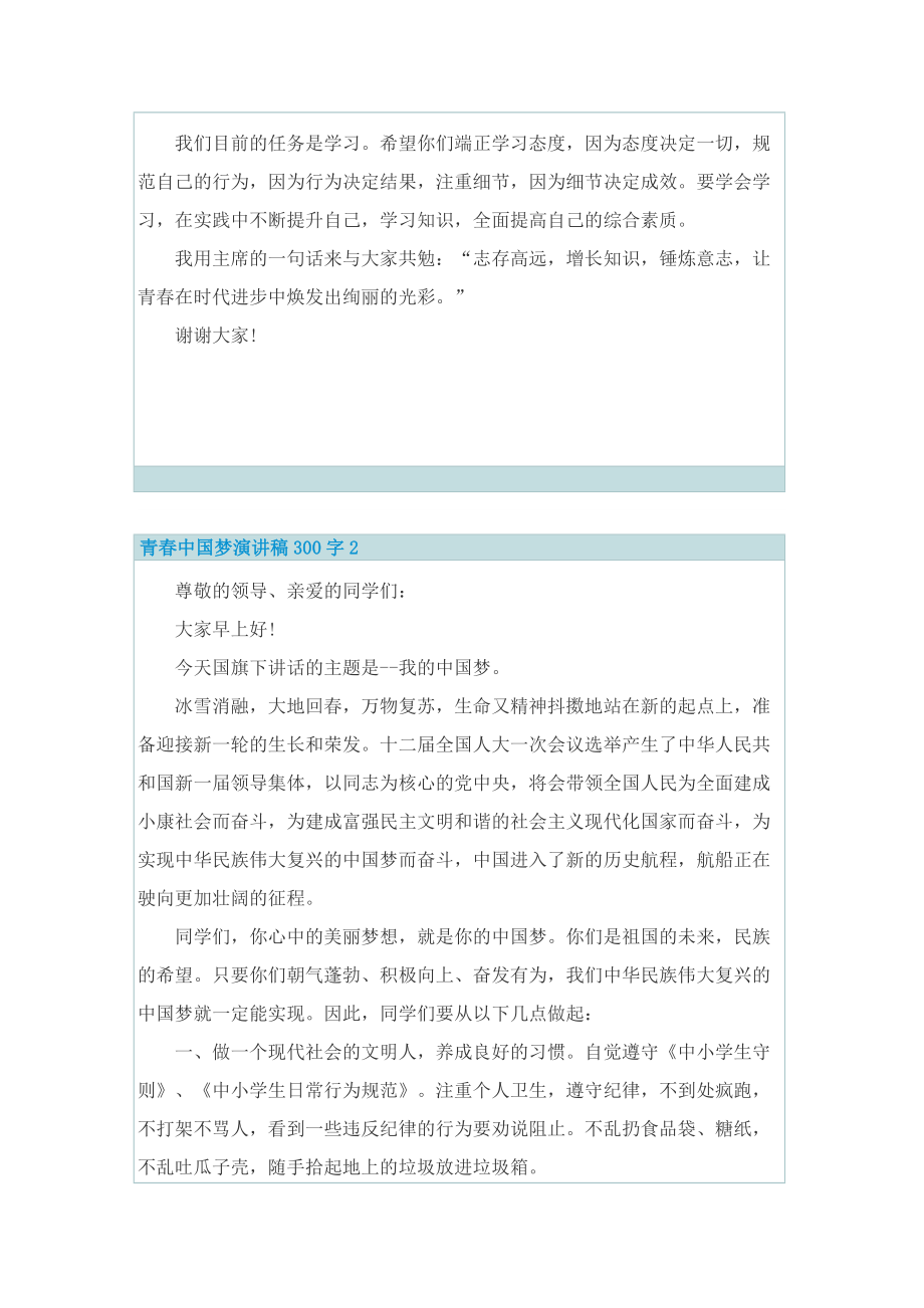 青春中国梦演讲稿300字.doc_第2页