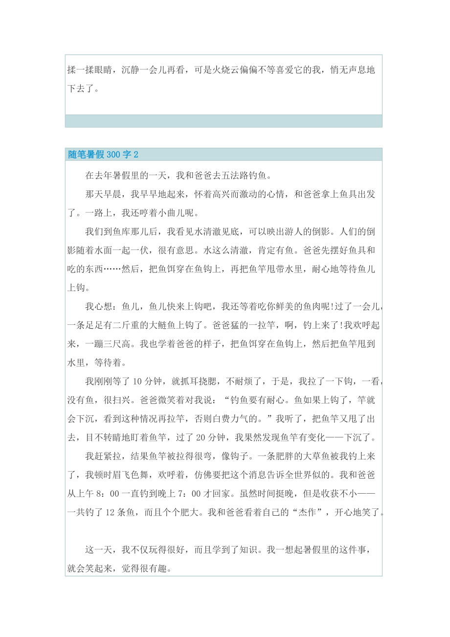 随笔暑假300字.doc_第2页