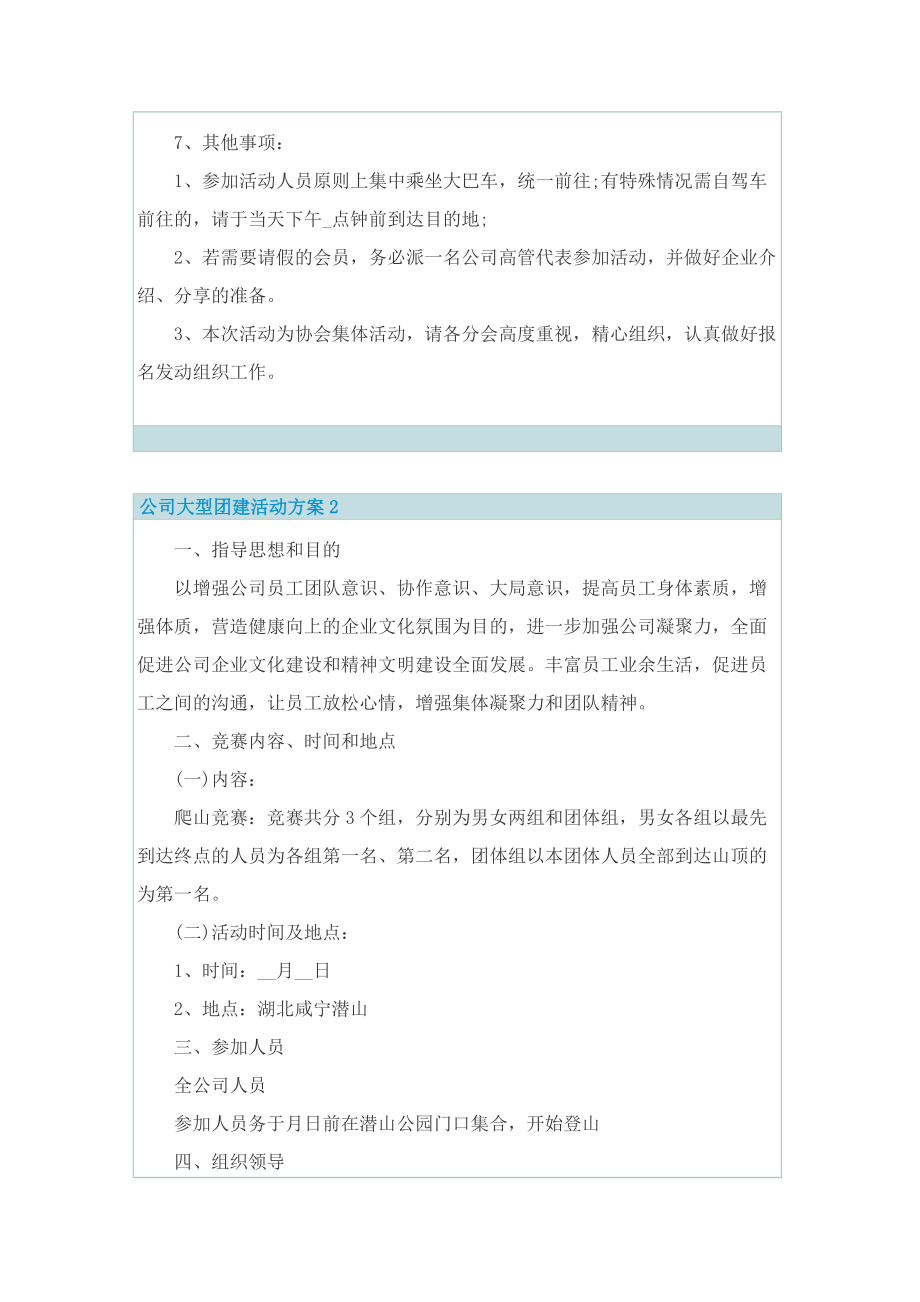 公司大型团建活动方案.doc_第2页