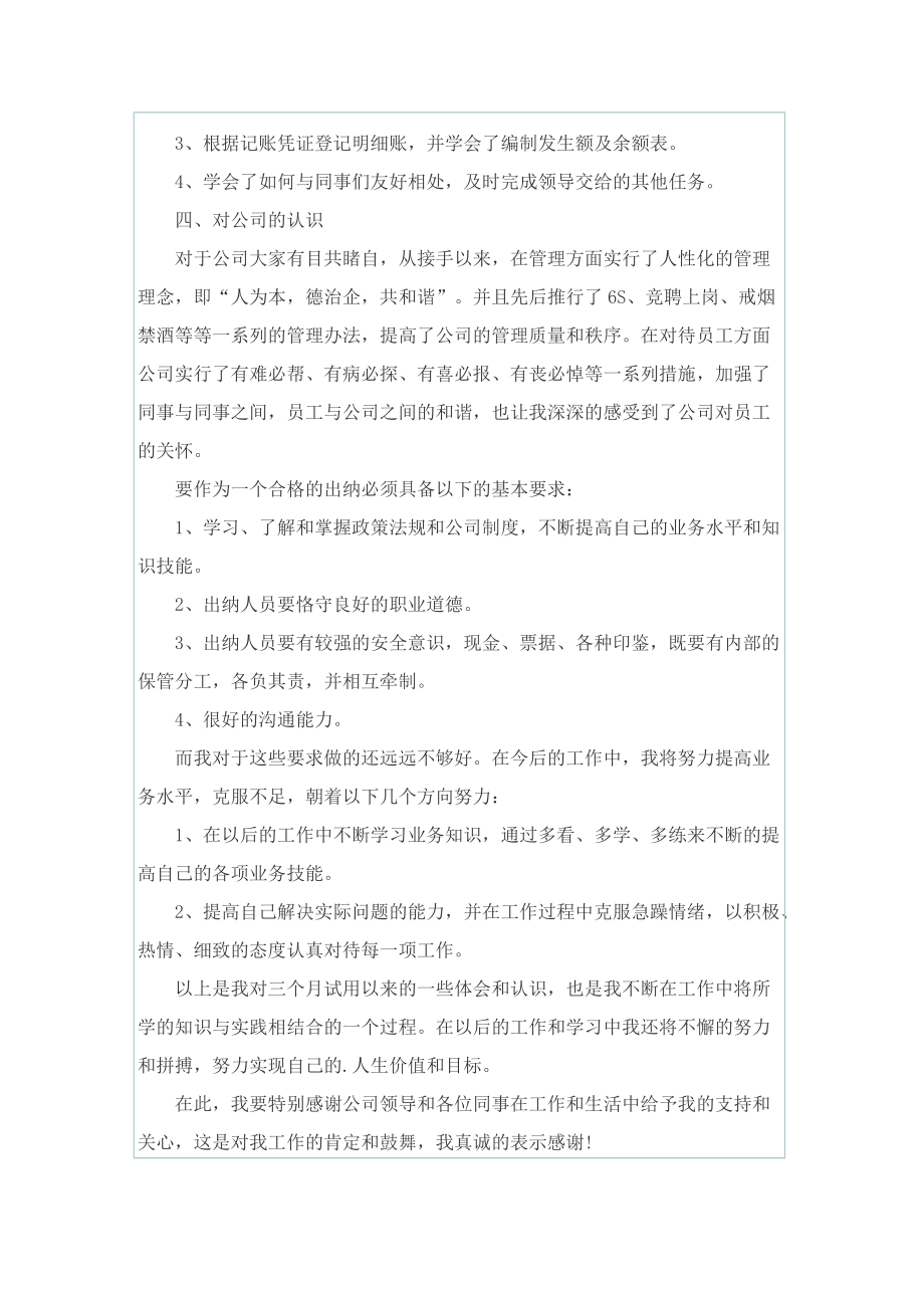 2022公司出纳试用期工作总结范文.doc_第2页