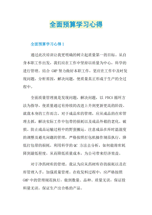 全面预算学习心得.doc