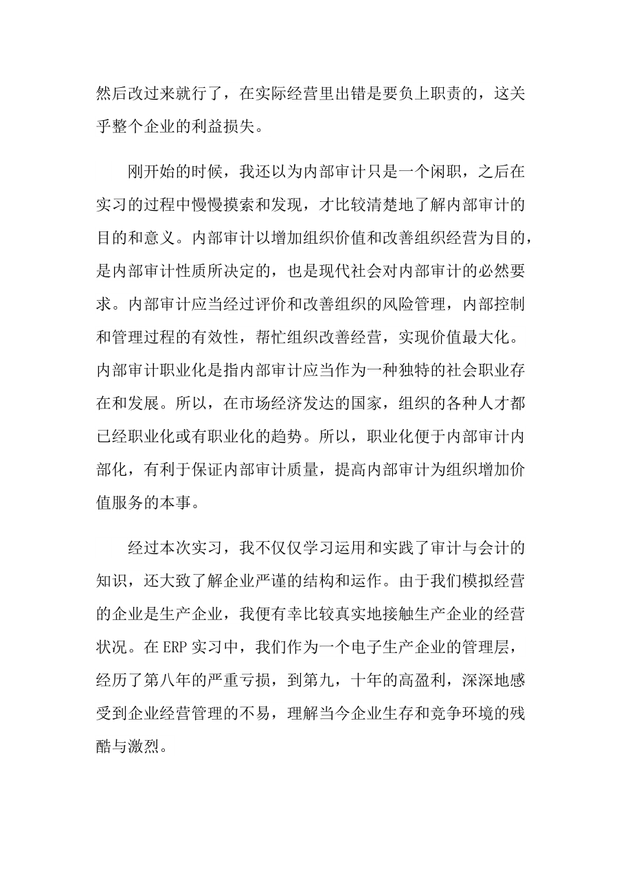 内部审计实习实践报告.doc_第3页