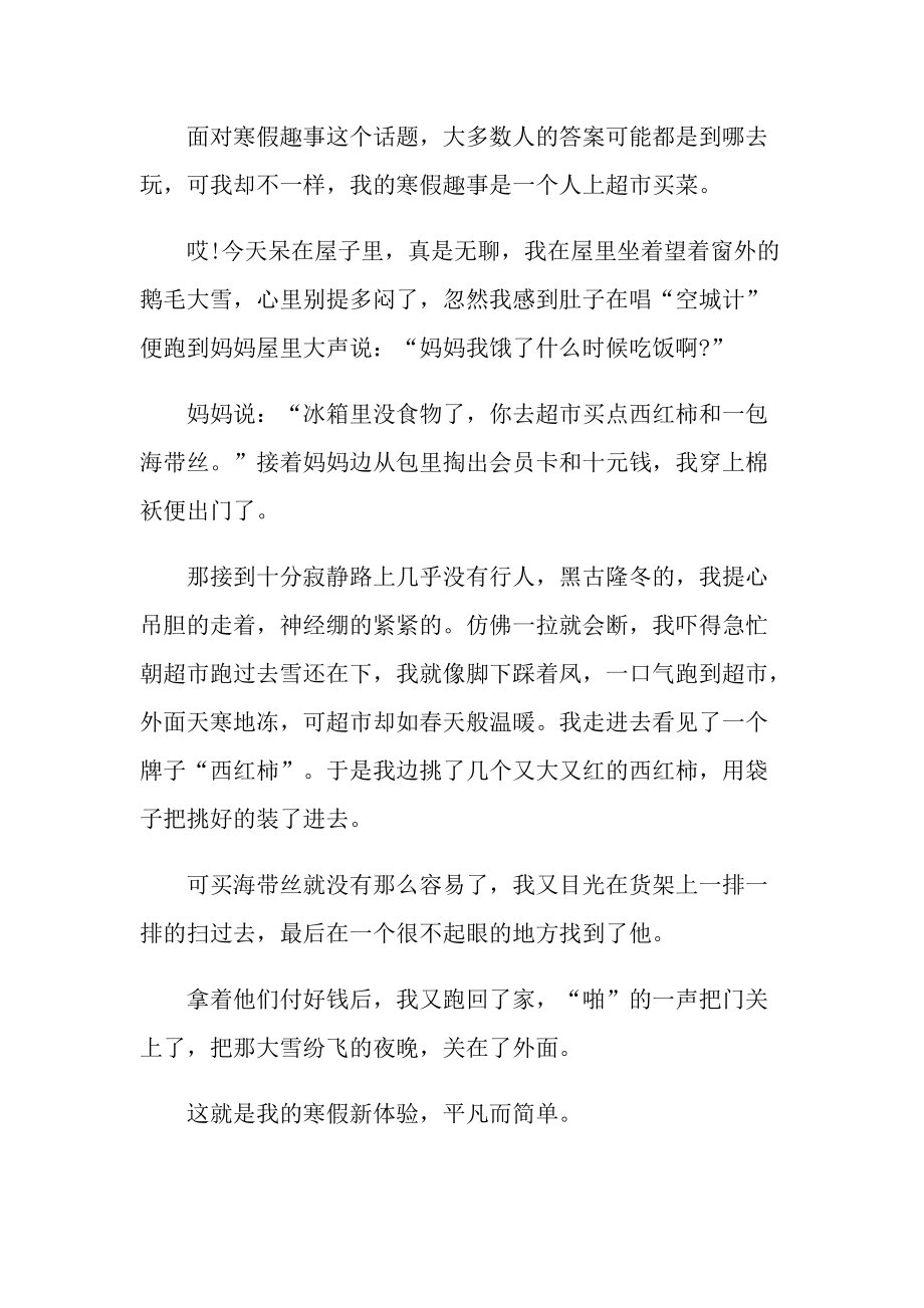 寒假随笔日记三百字.doc_第3页