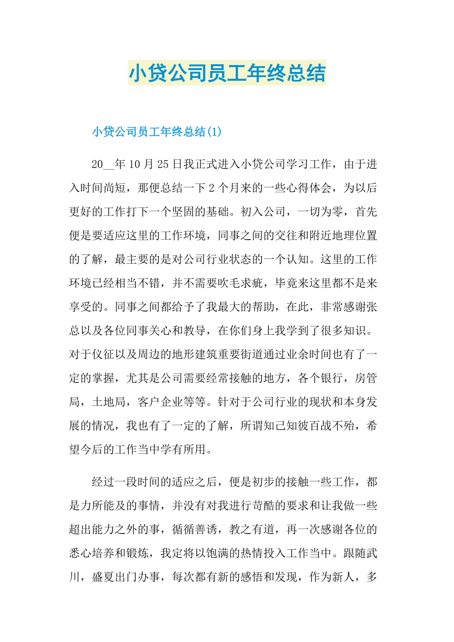 小贷公司员工年终总结.doc_第1页