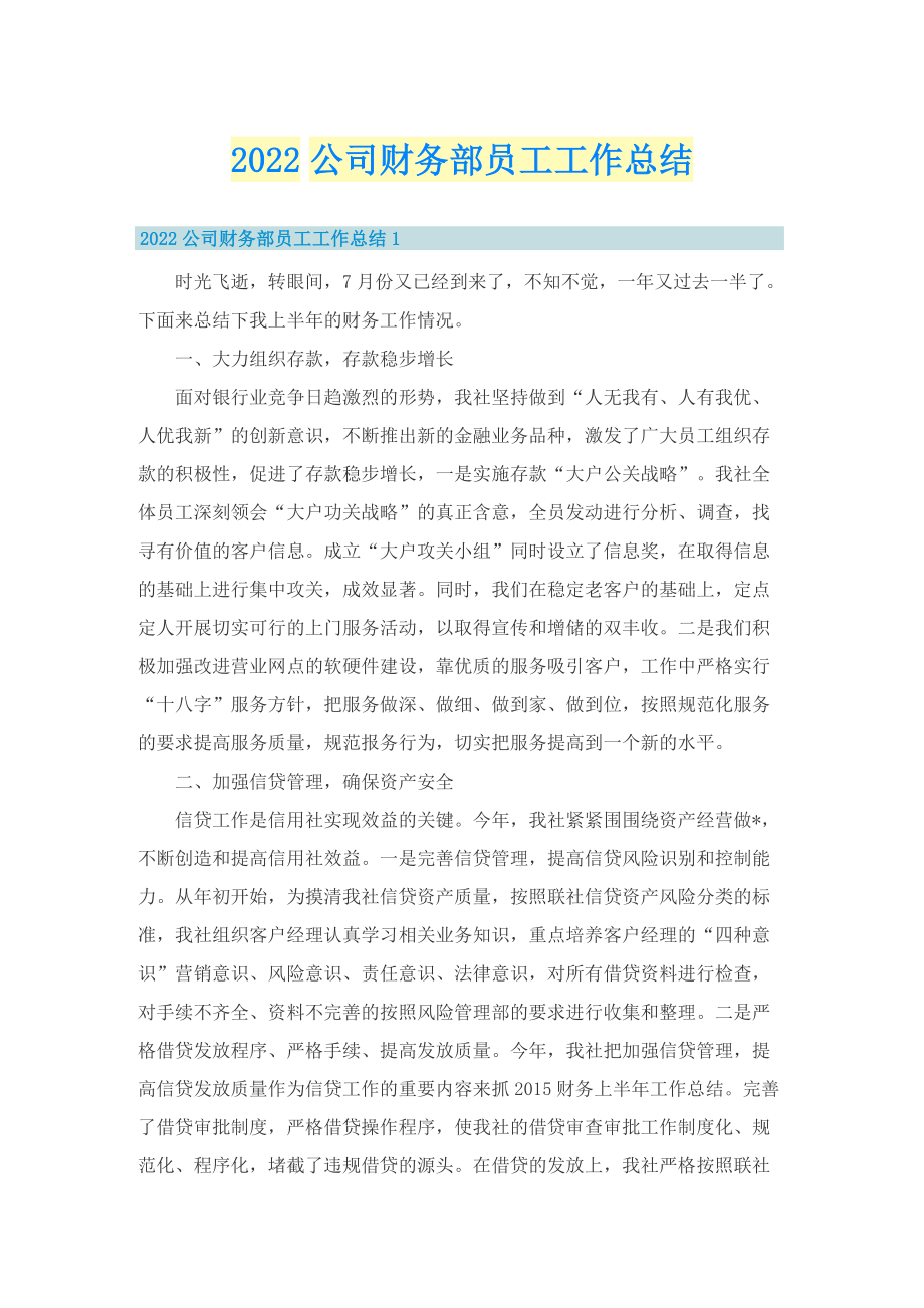 2022公司财务部员工工作总结.doc_第1页