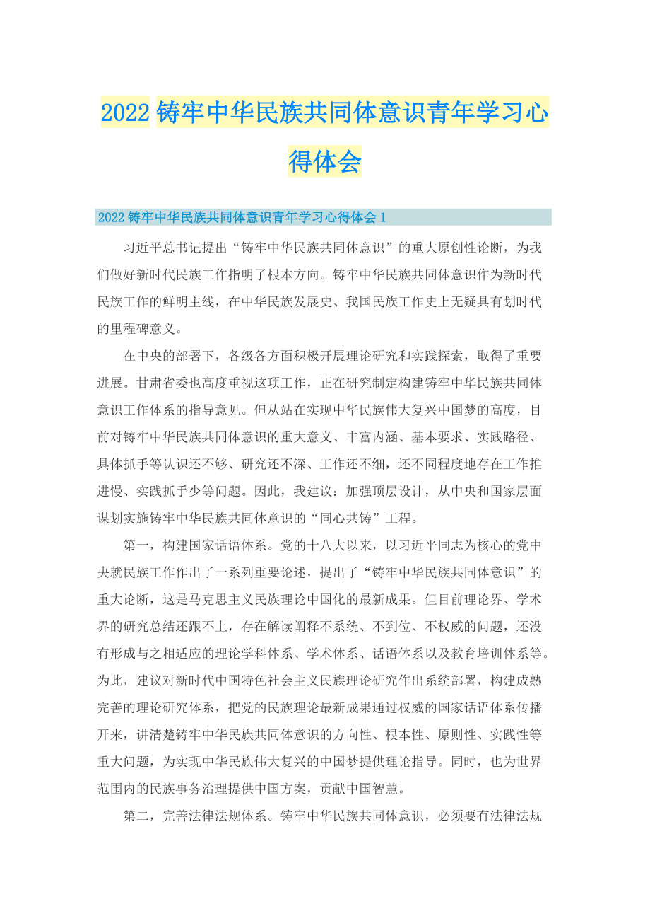 2022铸牢中华民族共同体意识青年学习心得体会.doc_第1页