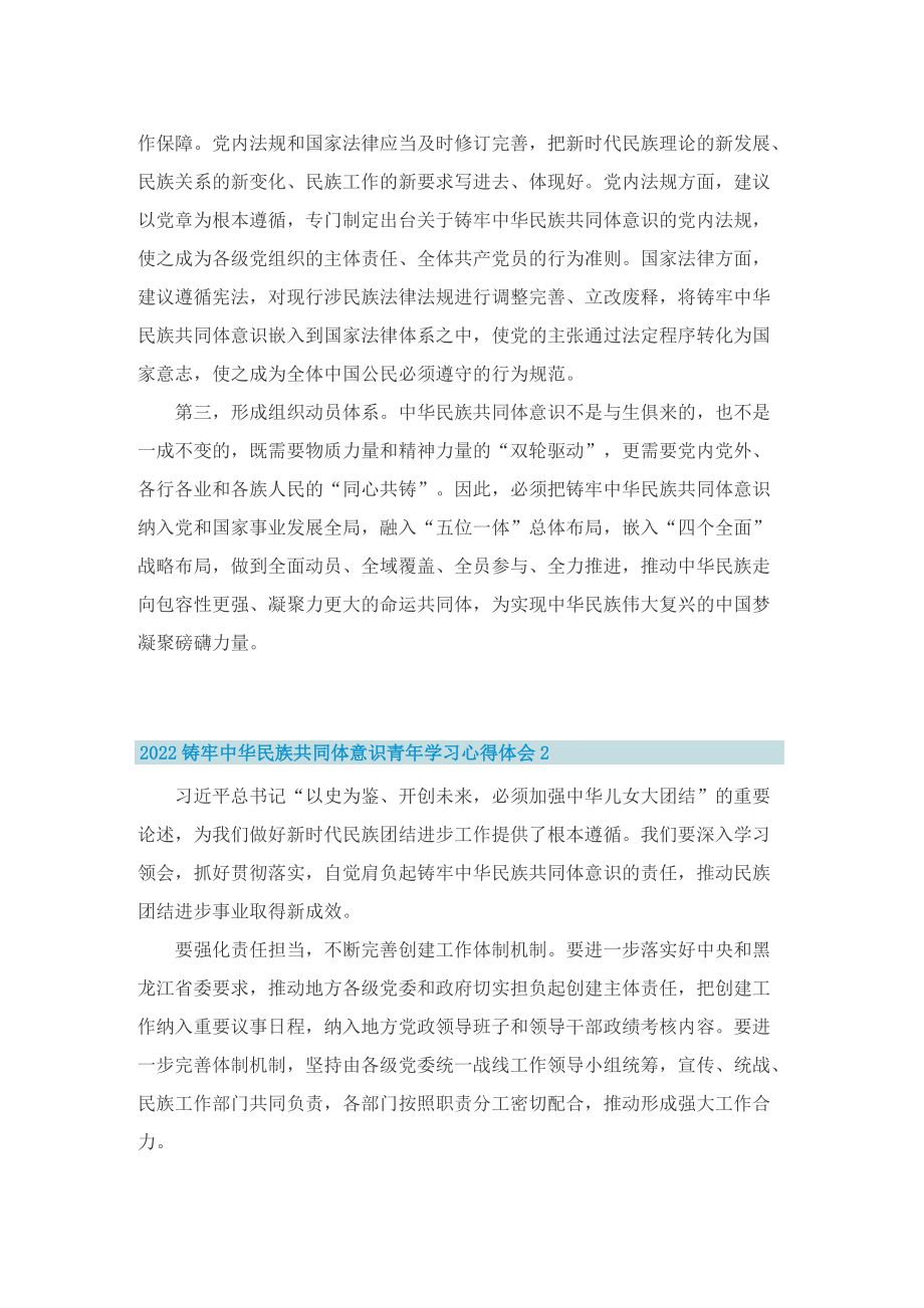 2022铸牢中华民族共同体意识青年学习心得体会.doc_第2页