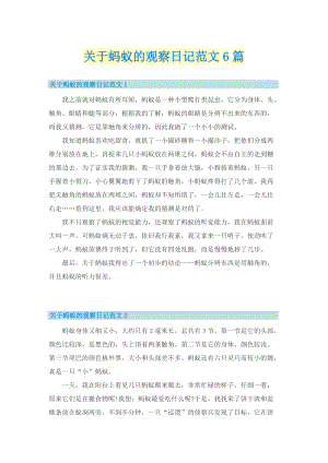 关于蚂蚁的观察日记范文6篇.doc