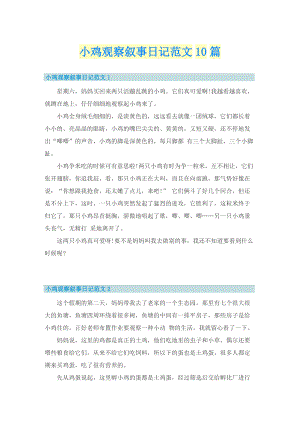 小鸡观察叙事日记范文10篇_1.doc