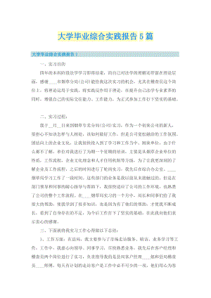 大学毕业综合实践报告5篇_1.doc