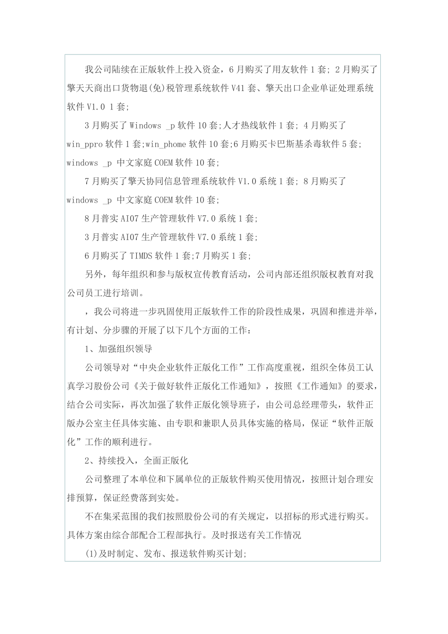 软件公司工作总结范文.doc_第2页