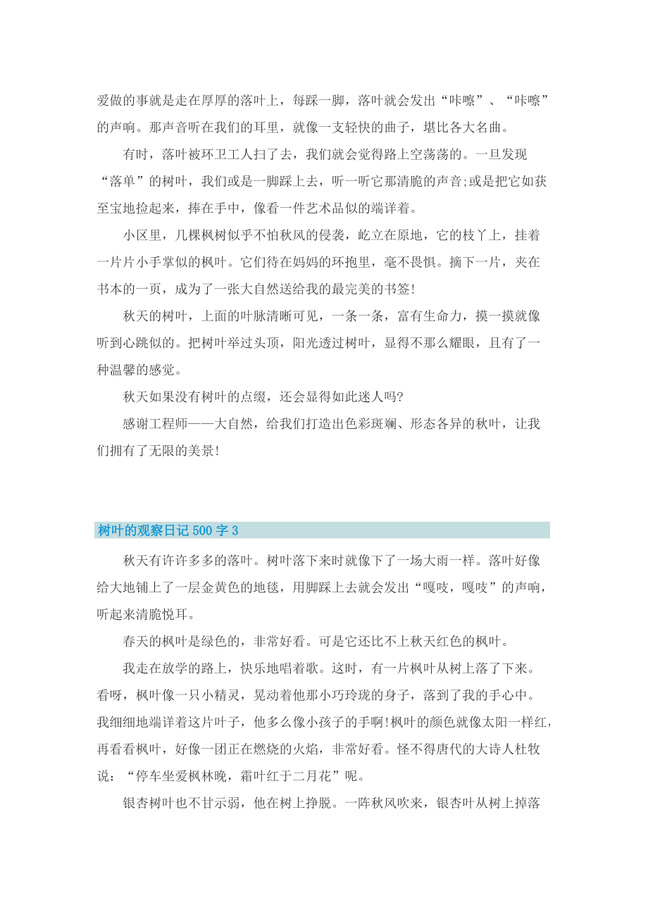 树叶的观察日记500字6篇.doc_第2页