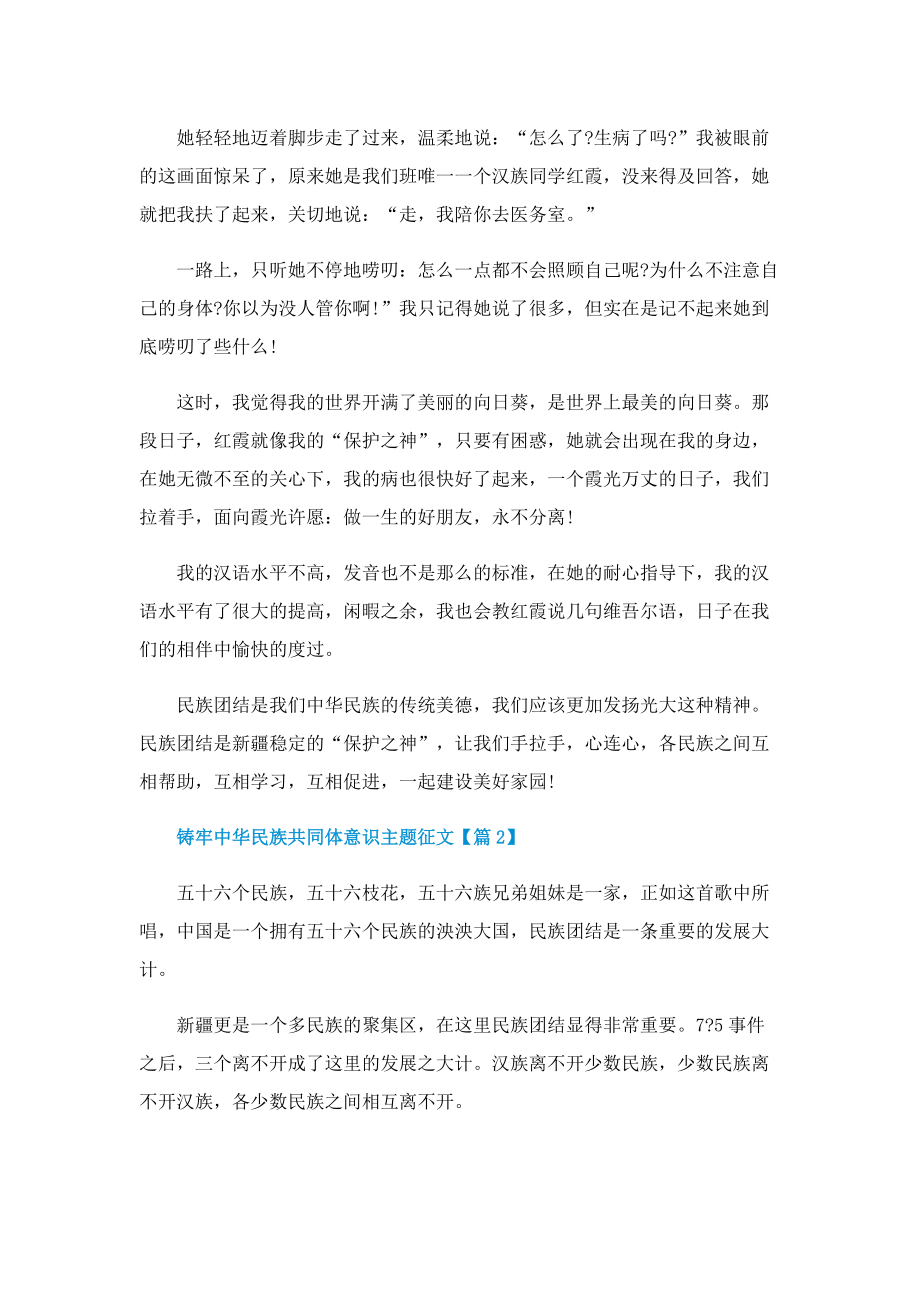 铸牢中华民族共同体意识主题征文(精选).doc_第2页