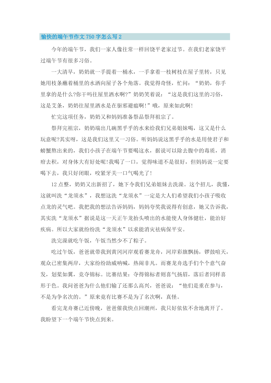 愉快的端午节作文750字怎么写.doc_第2页