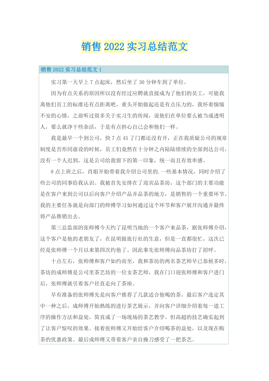 销售2022实习总结范文.doc_第1页