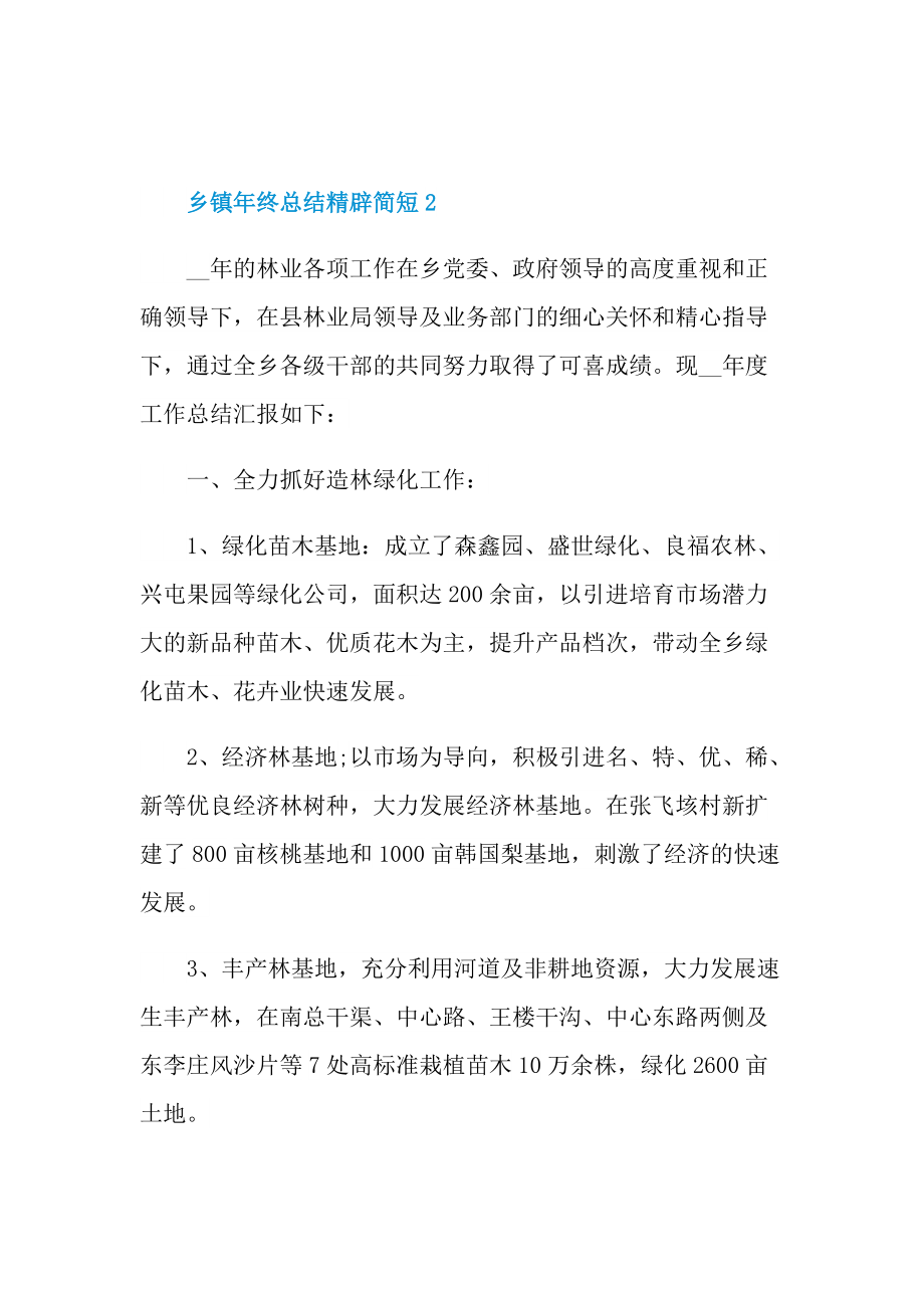 乡镇年终总结精辟简短.doc_第3页