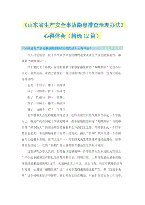 《山东省生产安全事故隐患排查治理办法》心得体会（精选12篇）.doc