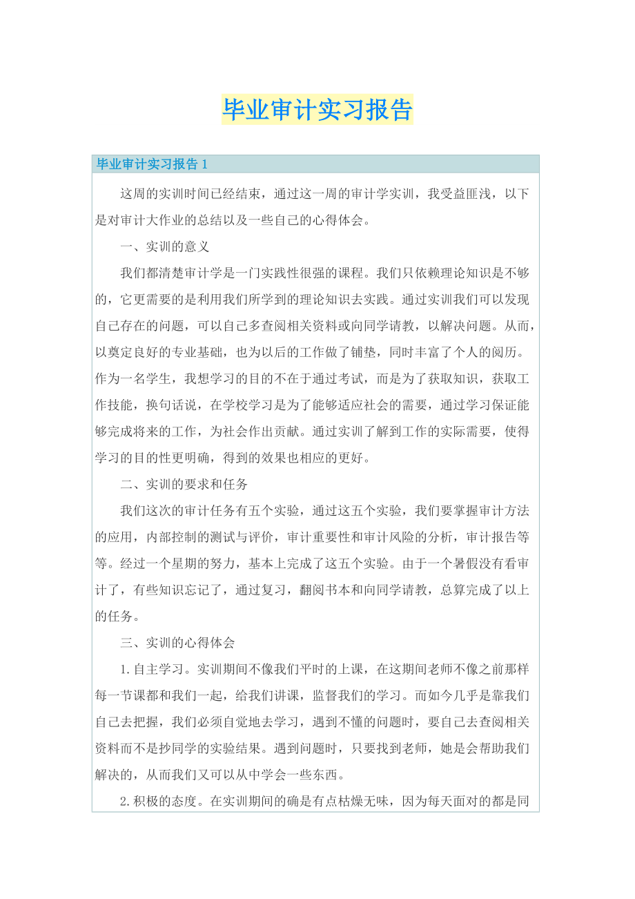 毕业审计实习报告.doc_第1页