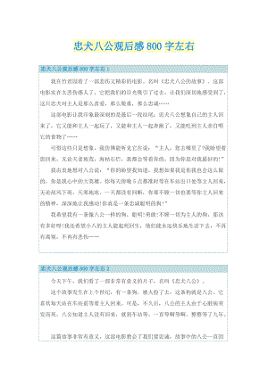 忠犬八公观后感800字左右.doc