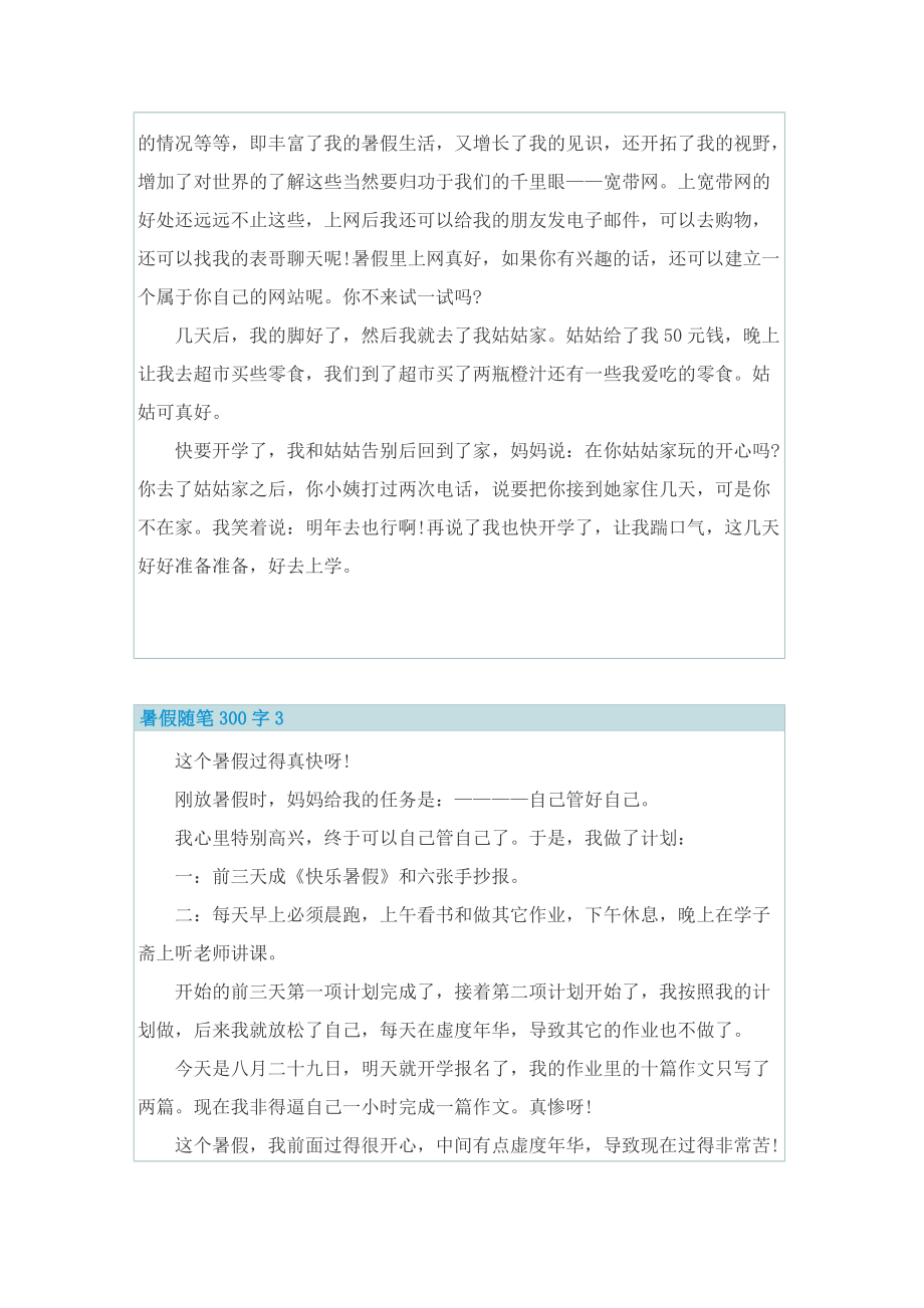 暑假随笔300字10篇.doc_第2页