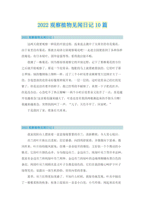 2022观察植物见闻日记10篇.doc