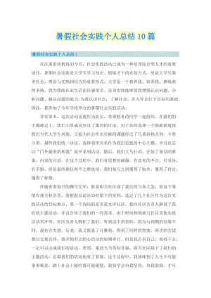 暑假社会实践个人总结10篇.doc