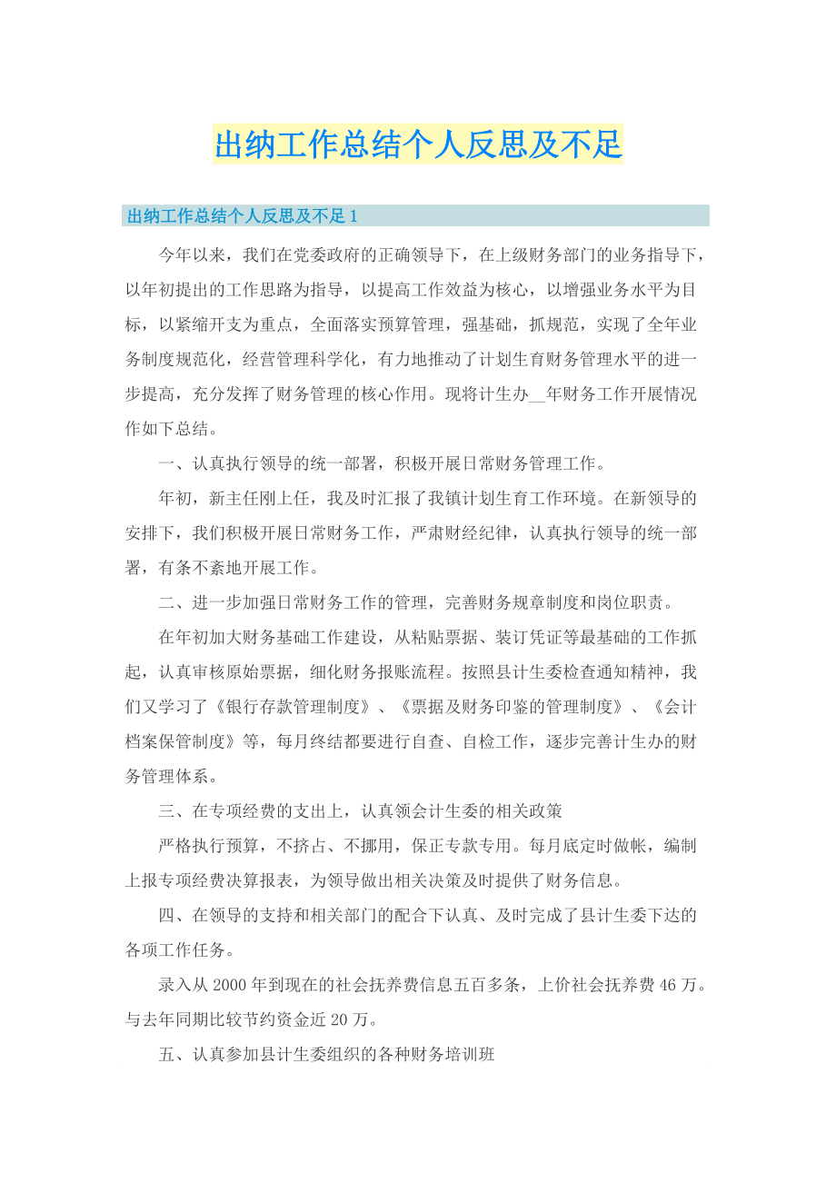 出纳工作总结个人反思及不足.doc_第1页