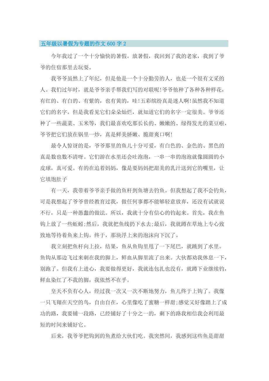 五年级以暑假为专题的作文600字.doc_第2页