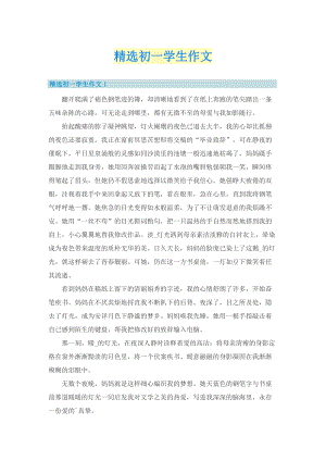 精选初一学生作文.doc