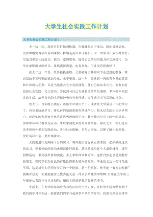 大学生社会实践工作计划.doc