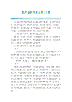 教师培训期末总结10篇.doc