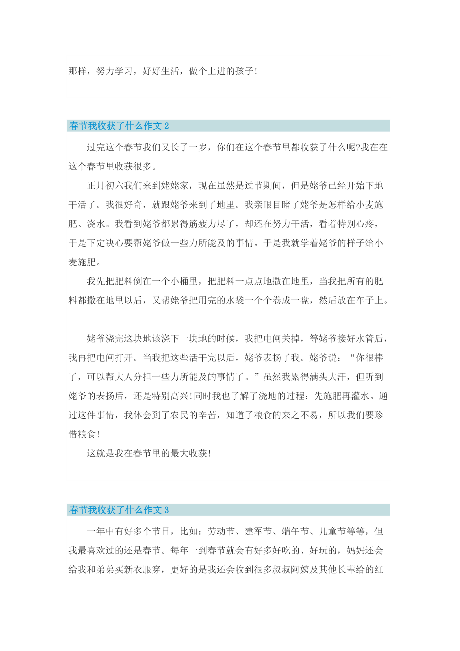 春节我收获了什么作文.doc_第2页