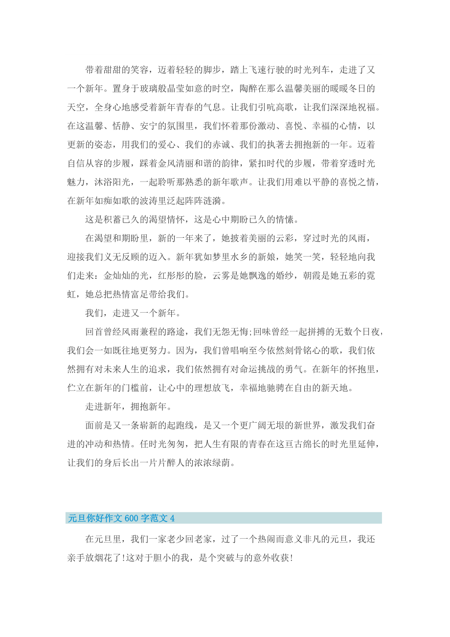 元旦你好作文600字范文.doc_第3页