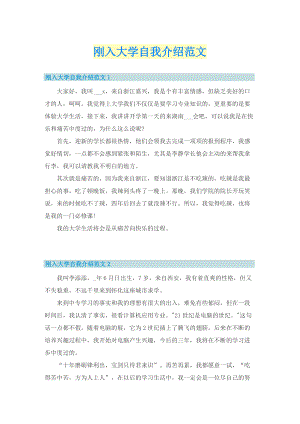 刚入大学自我介绍范文.doc