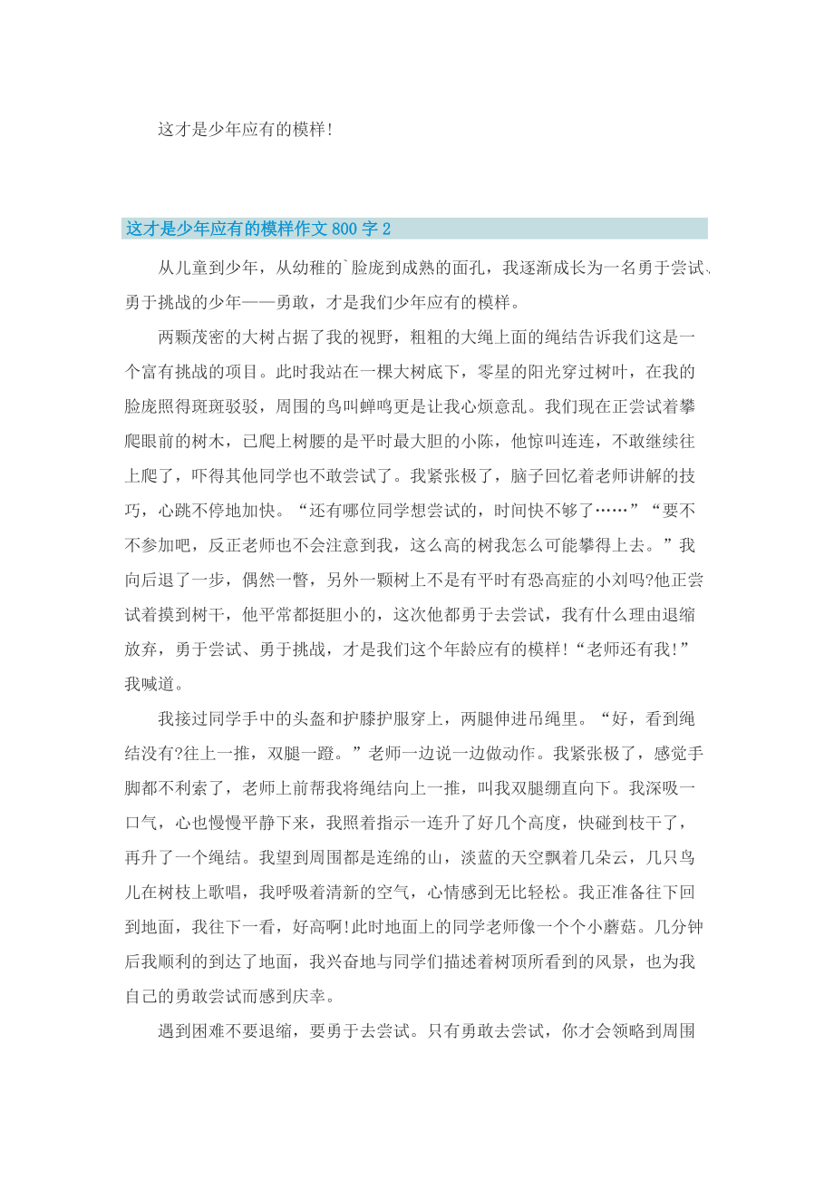 这才是少年应有的模样作文800字（10篇）.doc_第2页