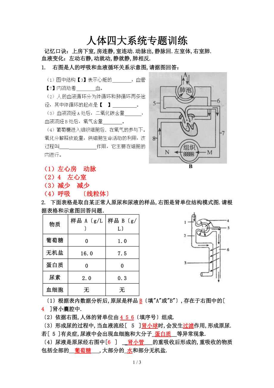 人体四大系统-专题训练有答案.doc_第1页